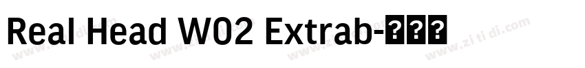 Real Head W02 Extrab字体转换